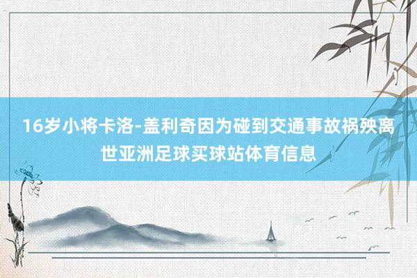16岁小将卡洛-盖利奇因为碰到交通事故祸殃离世亚洲足球买球站体育信息
