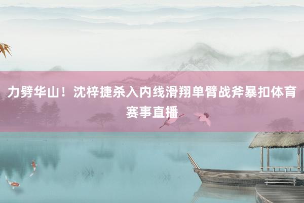 力劈华山！沈梓捷杀入内线滑翔单臂战斧暴扣体育赛事直播