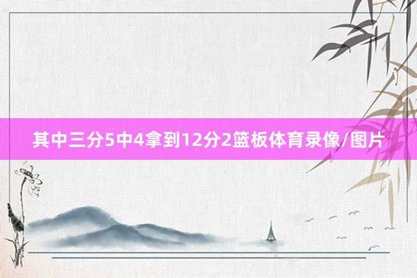 其中三分5中4拿到12分2篮板体育录像/图片