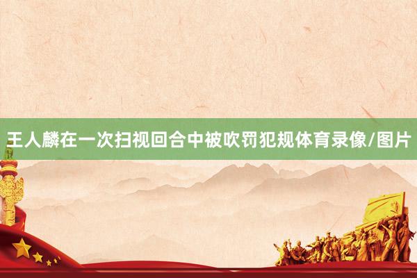 王人麟在一次扫视回合中被吹罚犯规体育录像/图片