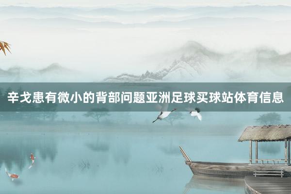 辛戈患有微小的背部问题亚洲足球买球站体育信息
