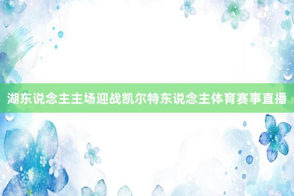 湖东说念主主场迎战凯尔特东说念主体育赛事直播