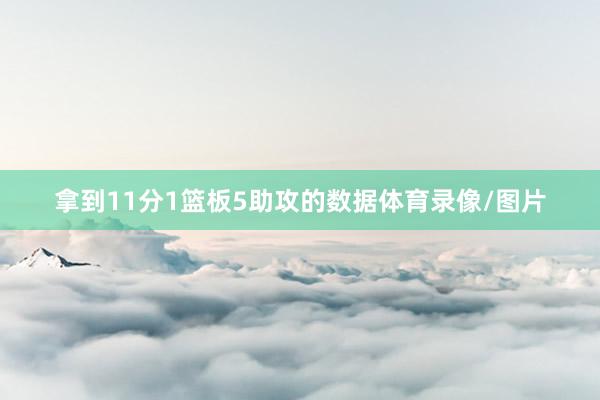 拿到11分1篮板5助攻的数据体育录像/图片