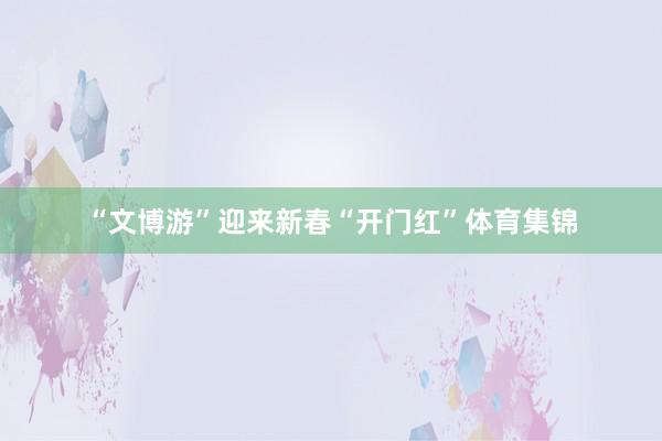 “文博游”迎来新春“开门红”体育集锦