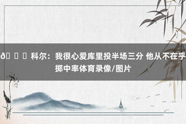 🌊科尔：我很心爱库里投半场三分 他从不在乎掷中率体育录像/图片