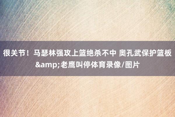 很关节！马瑟林强攻上篮绝杀不中 奥孔武保护篮板&老鹰叫停体育录像/图片