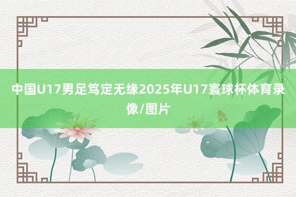 中国U17男足笃定无缘2025年U17寰球杯体育录像/图片