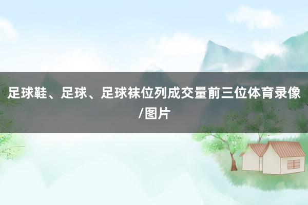 足球鞋、足球、足球袜位列成交量前三位体育录像/图片