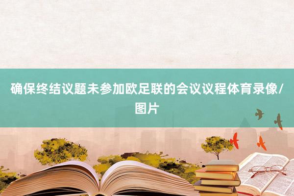 确保终结议题未参加欧足联的会议议程体育录像/图片