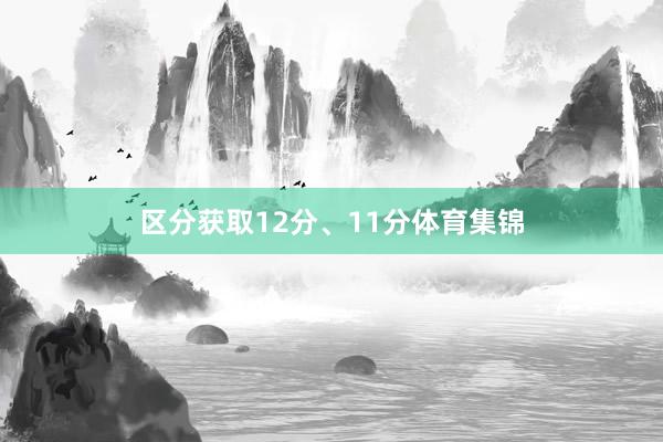 区分获取12分、11分体育集锦