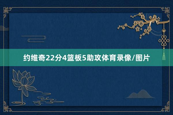 约维奇22分4篮板5助攻体育录像/图片